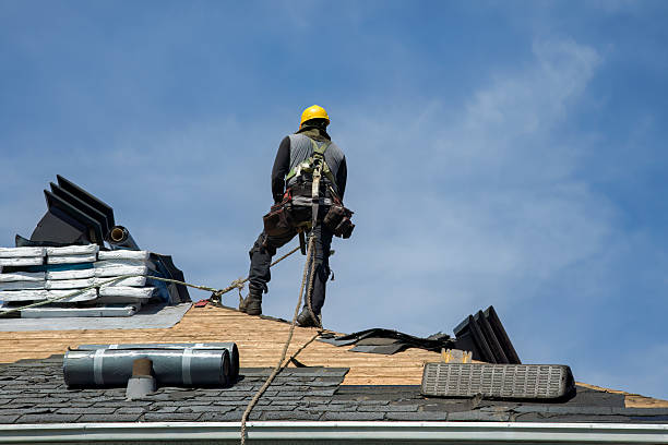 Professional Roof Installation technician working in Eva, TN